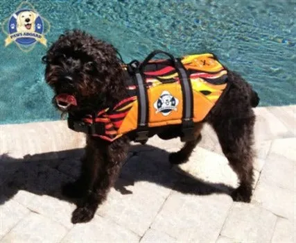 Racing Flames Life Jacket